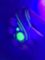 20250119_203157