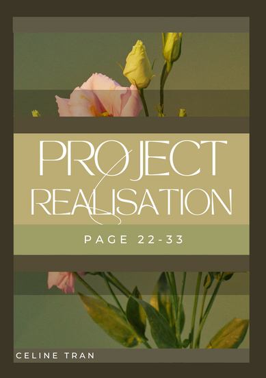 Project Realisation