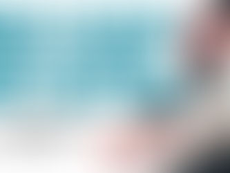 Choosing the Best Pet Food in 2025: How do you you pick what's best for your Pet?