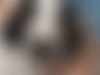 Epilepsy in Dogs, what is it and what is it like living with a dog who suffers from seizures? Our personal story.