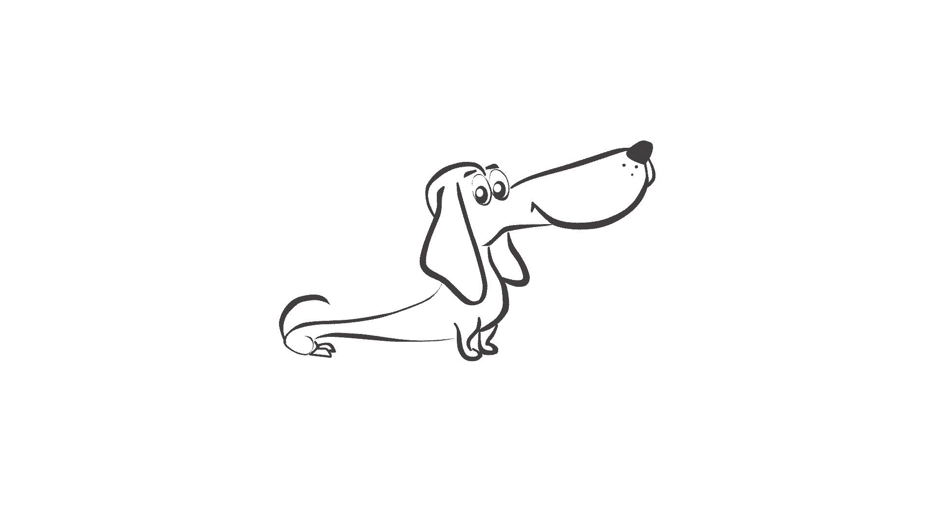 MPD Signature GIF Flipped (1).gif