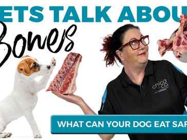I'm scared to feed my dog Raw Bones - what Bones can my dog eat safely?