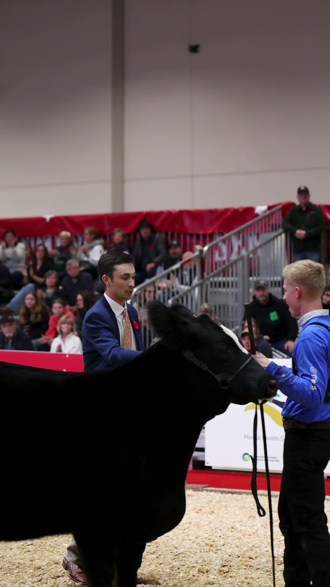 Toronto Royal - Res Int Showman