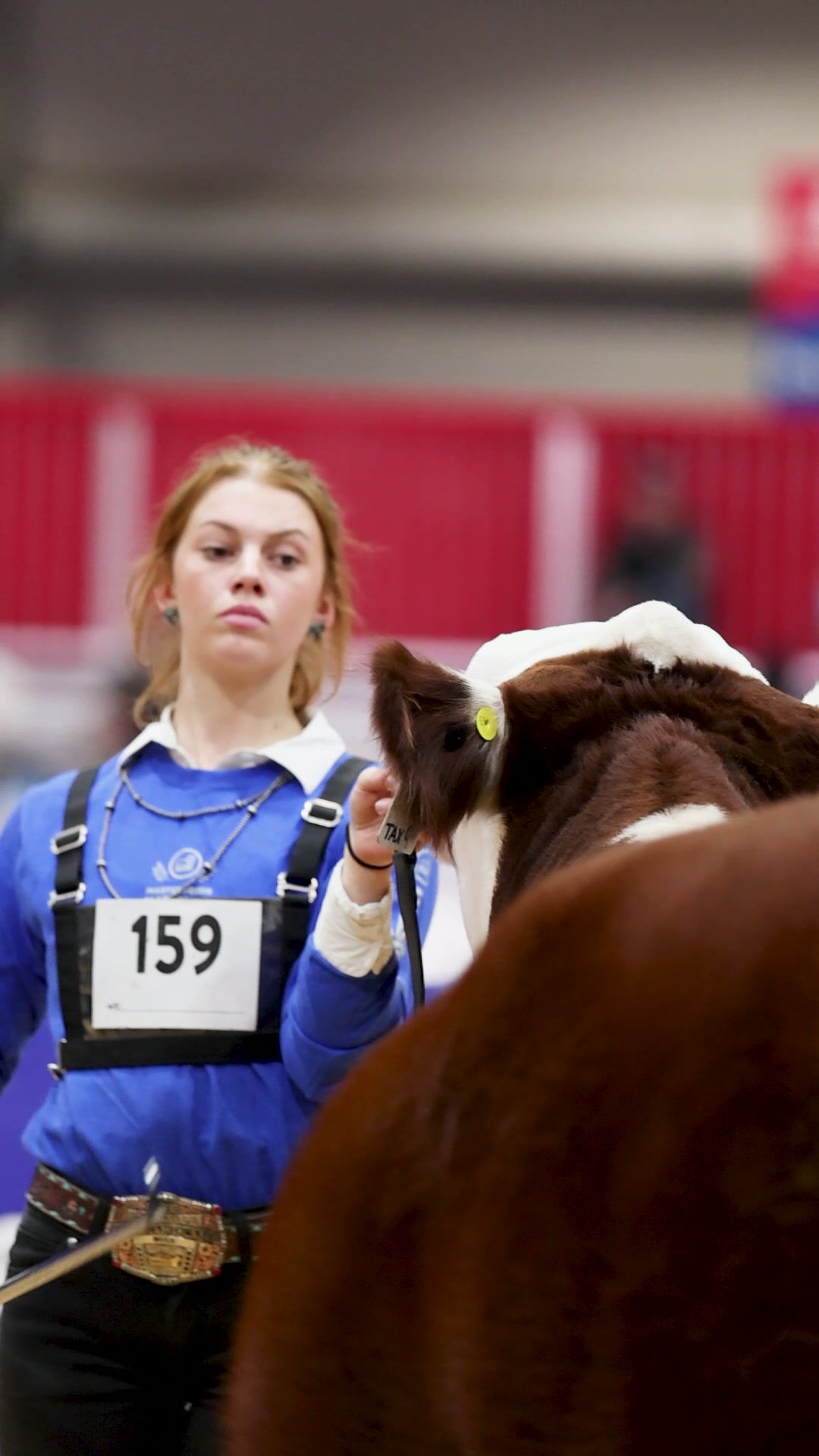 Toronto Royal - Olivia Avery