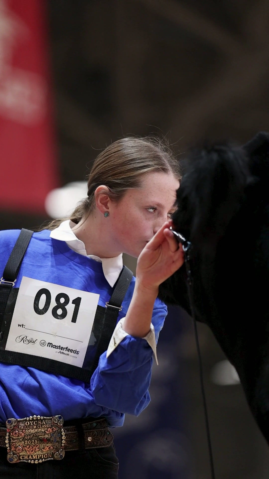 Toronto Royal - Paige Hanes