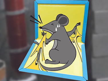 rodent-control-sticky-board.jpg