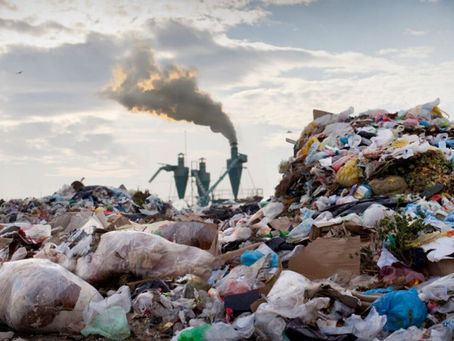 SNHS Biology Blog 3: Human Impact on Environment