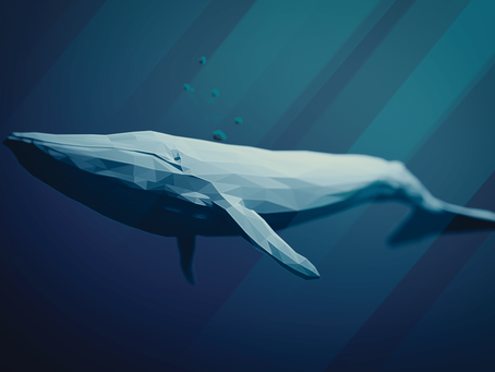 SNHS Biology Blog 1: Blue Whales