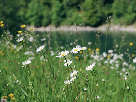 Schöne Ferien! Jetzt heißt es durchatmen, spielen und Kraft tanken
