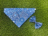 Traditional Western Bandana
