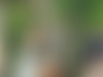 Beautiful Wedding Celebrations!  