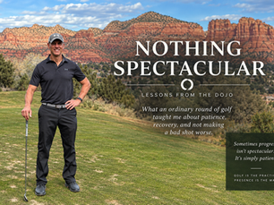 Nothing Spectacular: Lessons from the Dojo