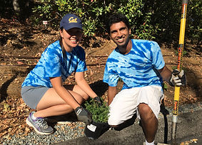 1 Best 2015 Gardens at Heather Farm.JPG