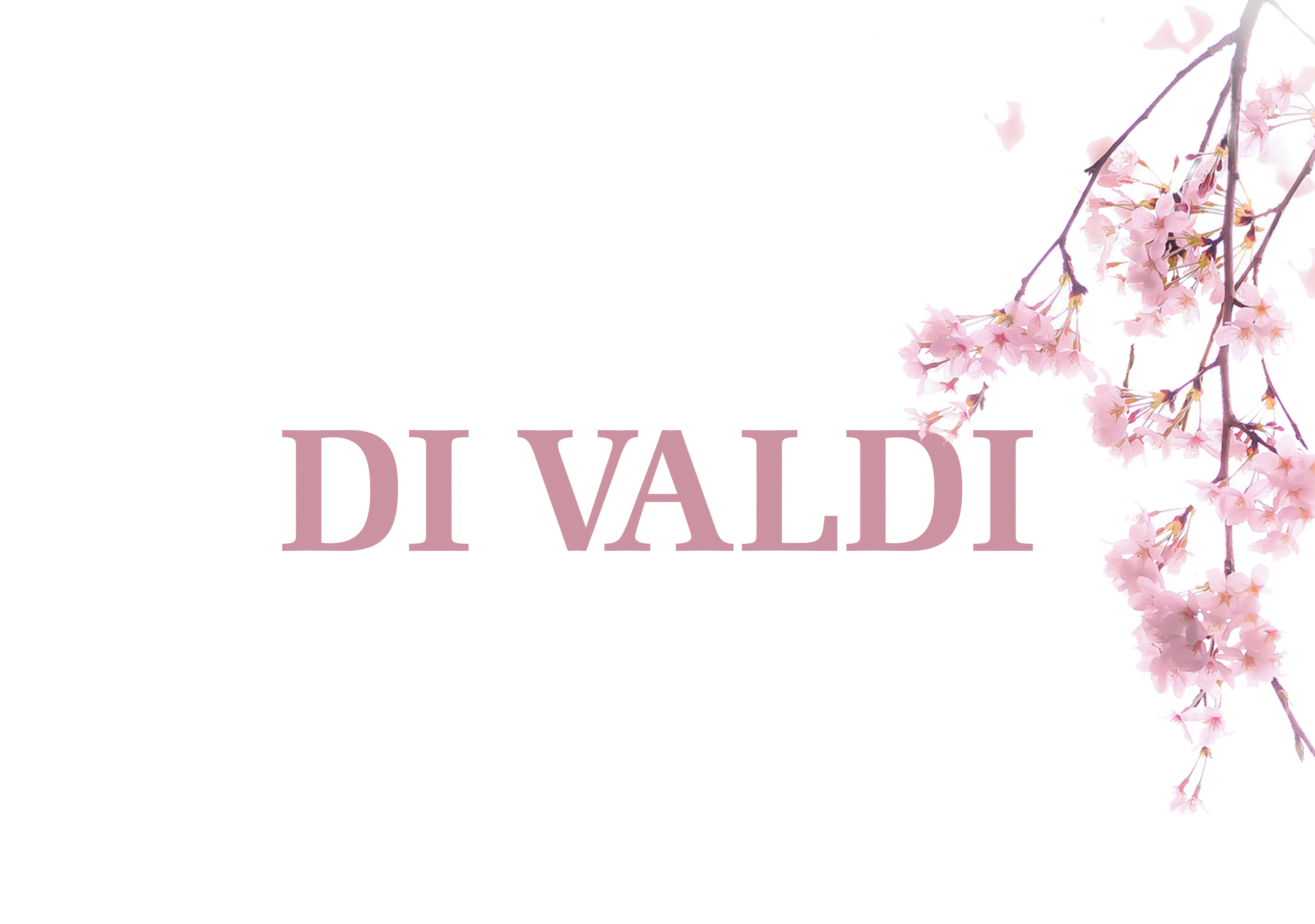 Photo Retouching - "Di valdi"