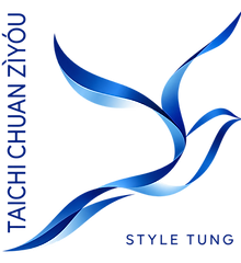 Nouveau logo Taichi Chuan Ziyou_COULEUR_Fond TRANSPARENT.png
