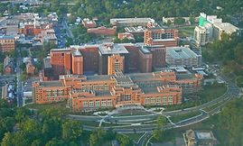 stockphotos-row1-left_lg_ NIH.jpeg