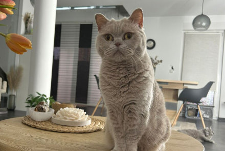 Hallo - ich bin Elly und fünf Jahre alt! 