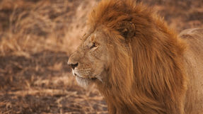 We only accept successful innovation