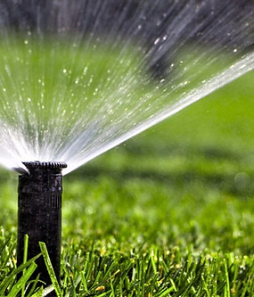 image_123650291 (1).JPG