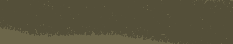 banner_green_02.png