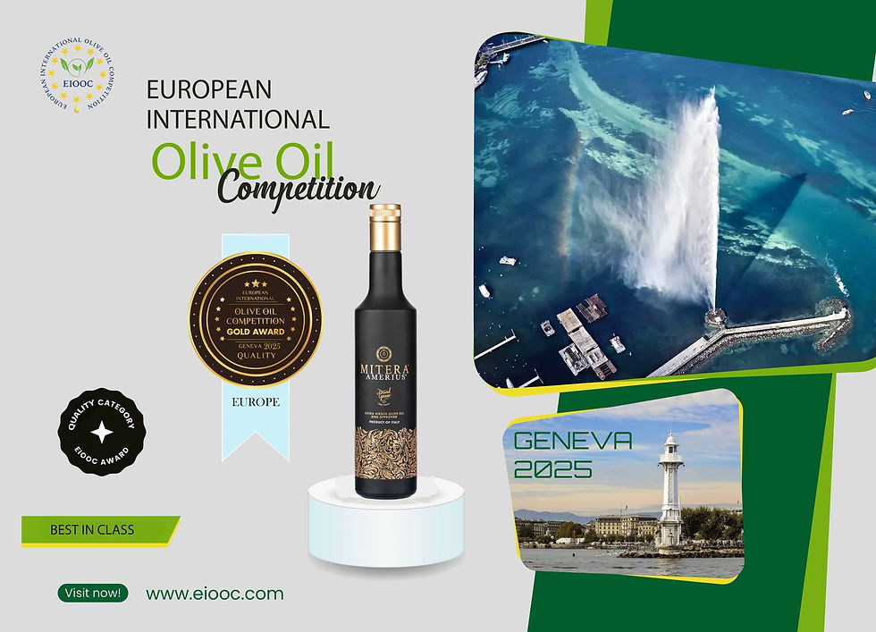 Amerius EIOOC 2025 Best in Class