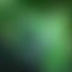 Recommendation: Fifteen anime movies you need to watch.