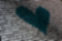 Digital heart