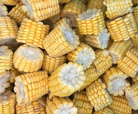 IQF-Sweet-Corn-IQF-Sweetcorns-COB-Frozen-Sweet-Corn-COB-IQF-Sweet-Corn-COB-Frozen-Sweetcorn-COB-Froz