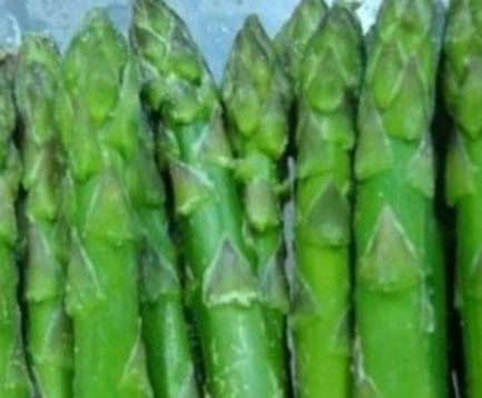 iqf-asparagus-importers201906261026361109774_edited.jpg