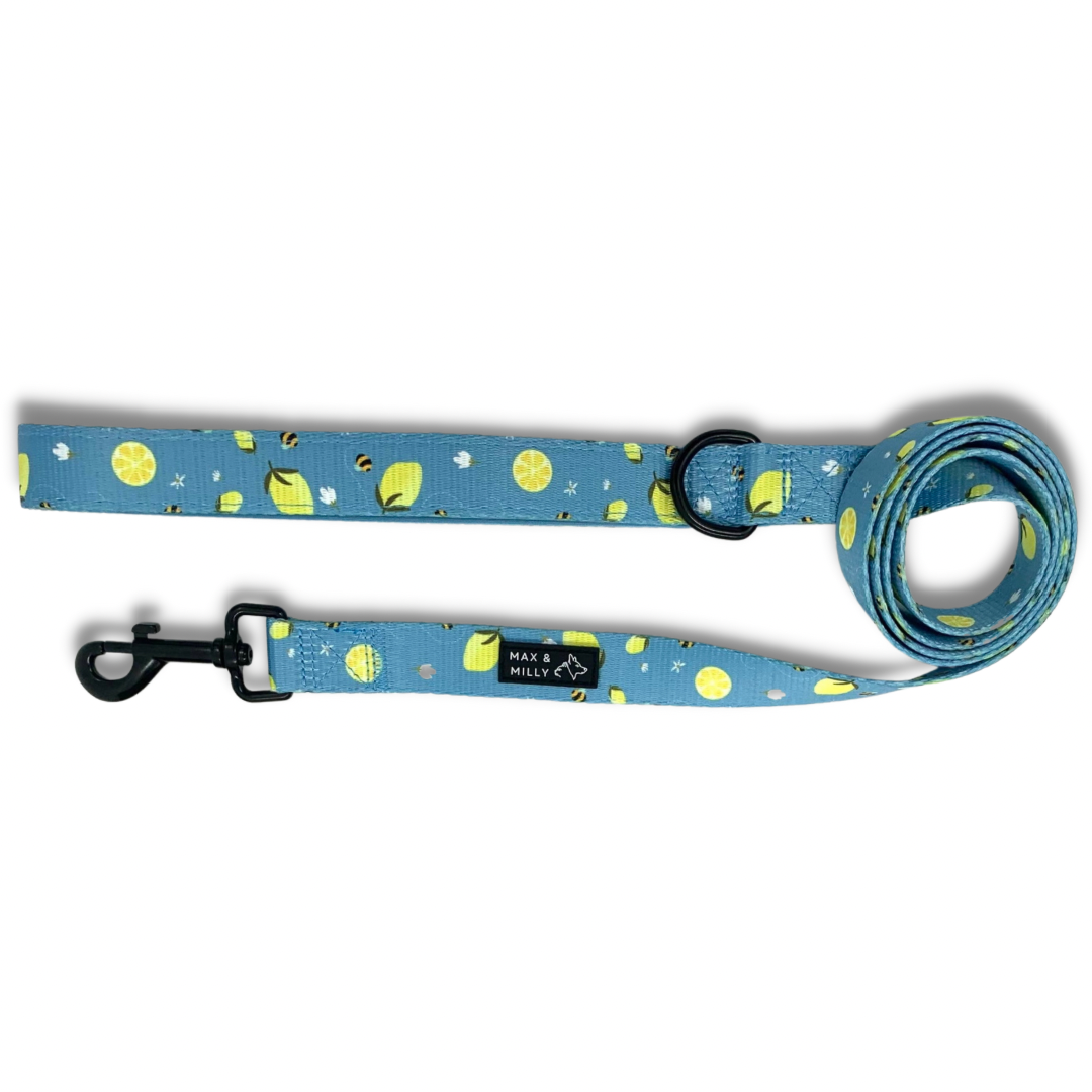 Bees & Lemons - Leash