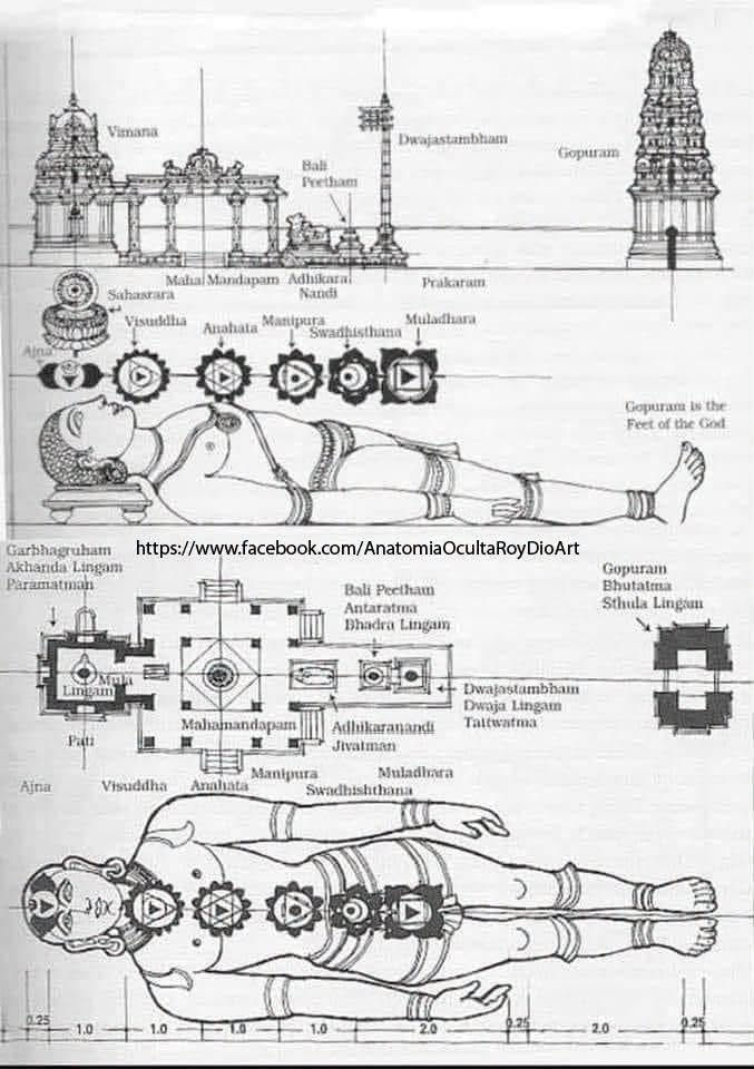 LE CORPS DE l' HOMME COMME TEMPLE ET REPRESENTATION DE L'UNIVERS