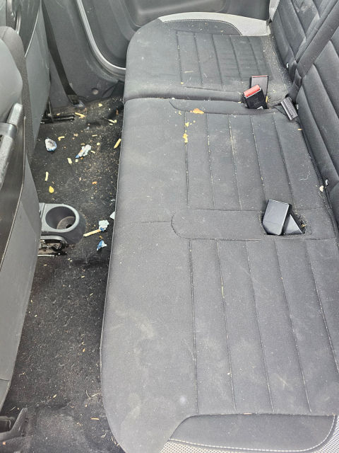 20250216_123518_edited