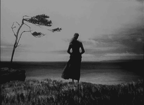 A black and white looping video of a woman in a dress, on the edge of a cliff. She falls forward.