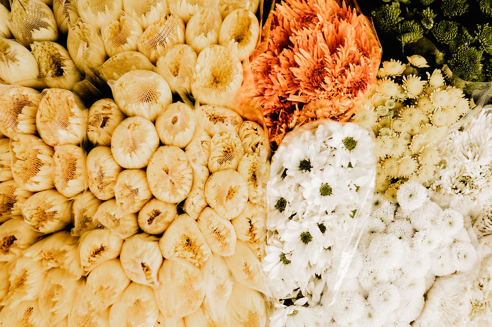 colombian flowers of great quality being sold at galeria alameda in cali colombia
