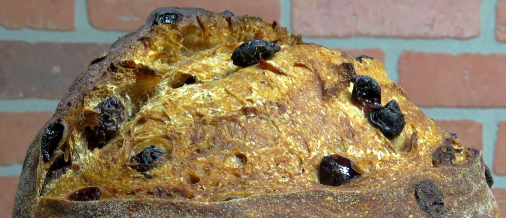 Cinnamon Raisin Sourdough Bread