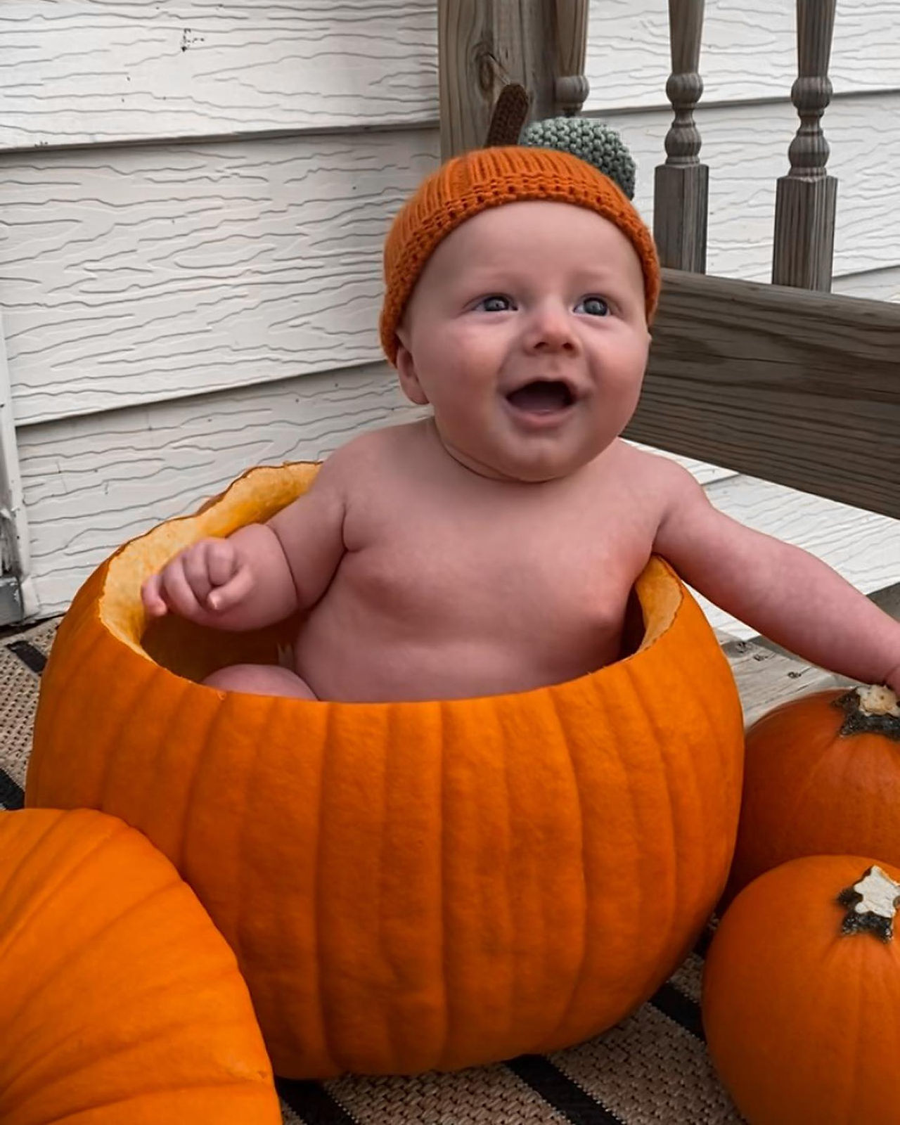 The CUTEST pumpkin.