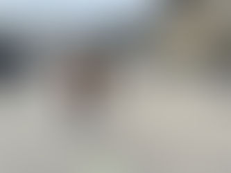 Retour en image sur notre semaine avec l'Apel "Bien dans son corps bien dans sa tête"