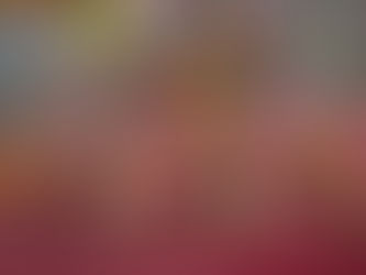 Animation escalade et jeux de raquettes pour le cycle 3 !