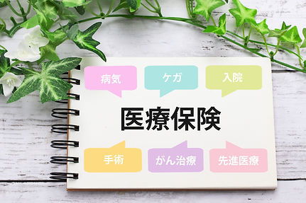 医療保険