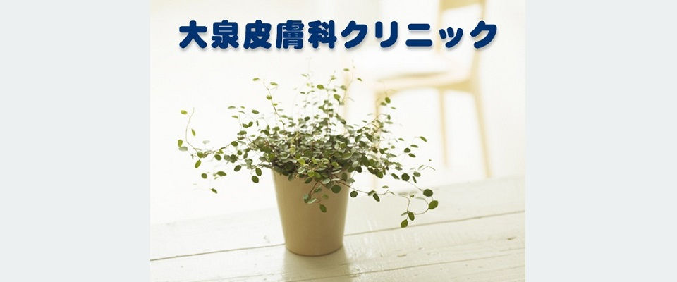 観葉植物