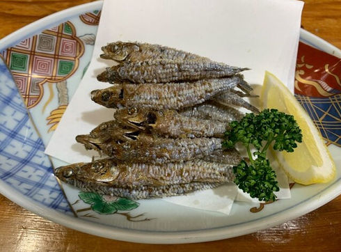 トンゴロいわし