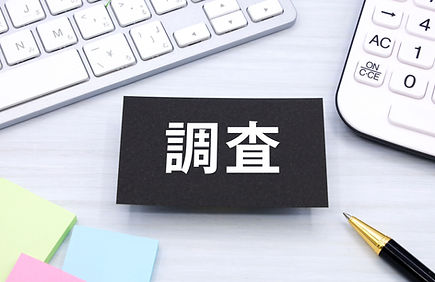 調査内容