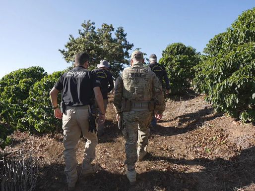 'Profissão Repórter' mostra histórias de recomeço após resgate do trabalho escravo