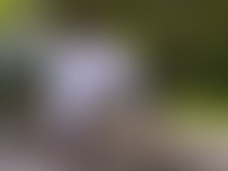 BBB 25: Entrevista com o eliminado da semana Diogo Almeida