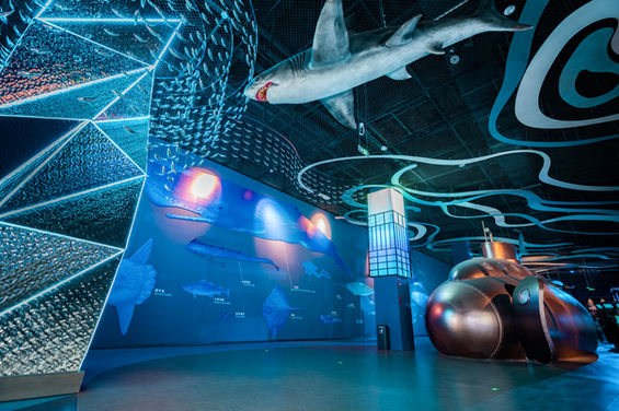 Interactive Play Zone