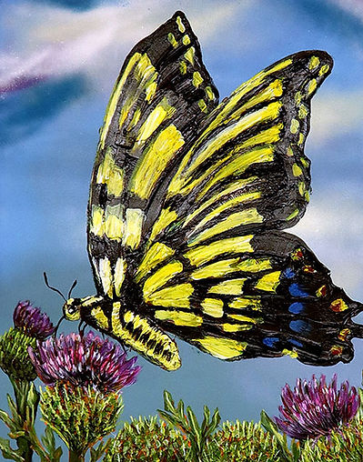 Vanessa Clark - Yellow Double Swallowtail-sm.jpg