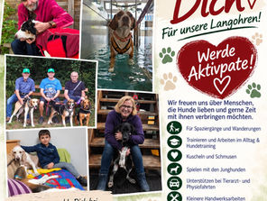💞Werde Aktivpate im Team 💞