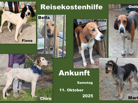 ❤️DANKE für die HILFE ❤️