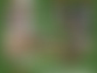 🙏 🍀Hilfe für die Reisekosten 🍀🙏