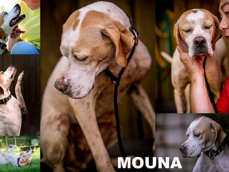 💖🍀MOUNA🍀💖